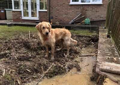 A garden during bamboo removal using a mini digger and driver hire service by The Mini Digger Guy